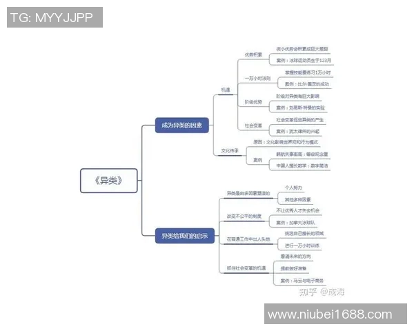 西安网球队在精英赛中的团队协作表现分析与启示