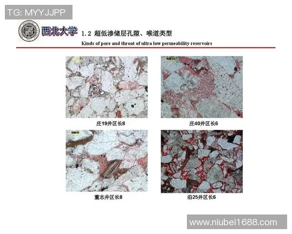 广州篮球队边路渗透战术分析及其对比赛结果的影响探讨 广州篮球队边路渗透战术分析及其对比赛结果的影响探讨