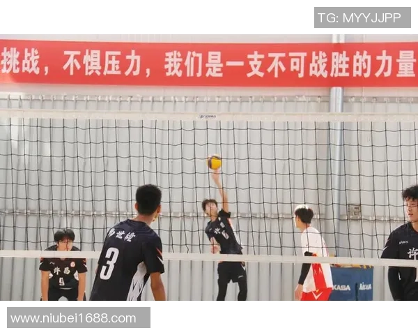 成都排球队进攻策略全解析深度探讨排球技战术的魅力与挑战