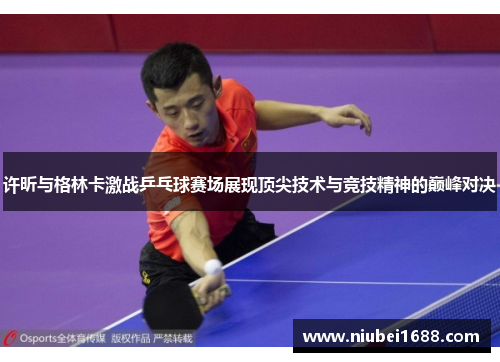 许昕与格林卡激战乒乓球赛场展现顶尖技术与竞技精神的巅峰对决
